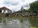 IMG_2109.jpg