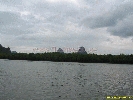 IMG_2116.jpg