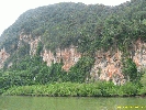 IMG_2120.jpg