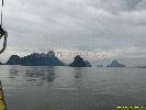 IMG_2124.jpg