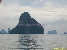 IMG_2126.jpg