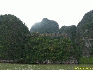 IMG_2128.jpg