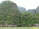 IMG_2129.jpg