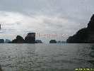 IMG_2130.jpg