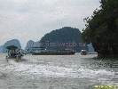 IMG_2136.jpg