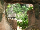 IMG_2144.jpg