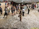 IMG_2171.jpg