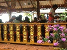IMG_2230.jpg