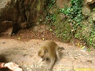 IMG_2243.jpg
