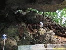 IMG_2247.jpg