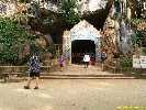 IMG_2250.jpg