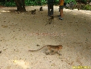 IMG_2253.jpg