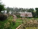 IMG_2255.jpg