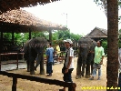 IMG_2256.jpg