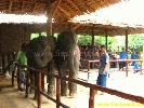 IMG_2258.jpg