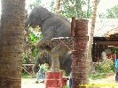 IMG_2261.jpg