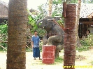 IMG_2263.jpg