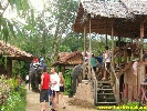 IMG_2269.jpg