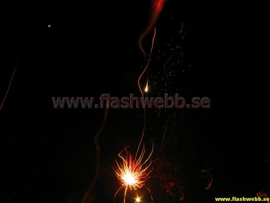 IMG_2076.jpg