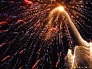 IMG_2045.jpg