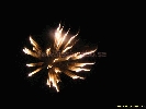 IMG_2055.jpg