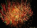 IMG_2064.jpg
