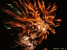 IMG_2065.jpg