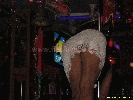 IMG_1575.jpg