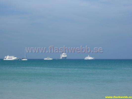 IMG_1586.jpg