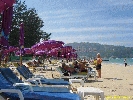 IMG_1585.jpg