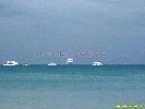 IMG_1586.jpg