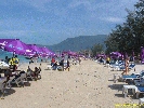 IMG_1587.jpg