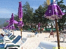 IMG_1590.jpg