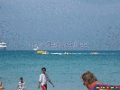 IMG_1592.jpg