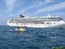 IMG_1594.jpg