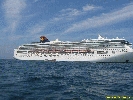 IMG_1595.jpg