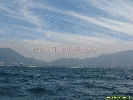 IMG_1598.jpg