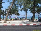 IMG_1692.jpg
