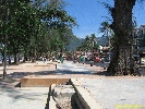 IMG_1874.jpg