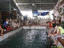 IMG_1933.jpg