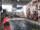 IMG_1934.jpg
