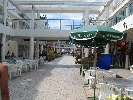 IMG_2005.jpg