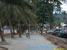 IMG_2283.jpg