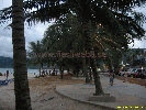 IMG_2286.jpg