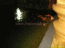 IMG_1857.jpg