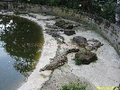 IMG_1709.jpg