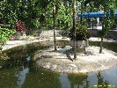 IMG_1711.jpg