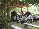 IMG_1712.jpg