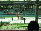 IMG_1717.jpg