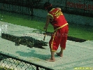 IMG_1726.jpg